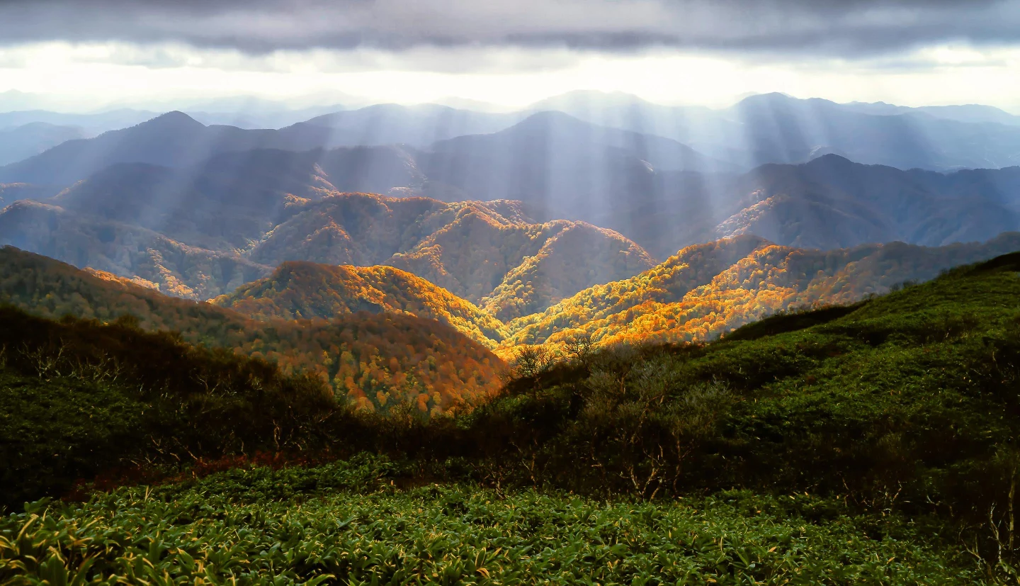 ba52e5a7-eec9-410e-8986-8cb044d8631f-stockvault-colors-of-autumn235971.jpg